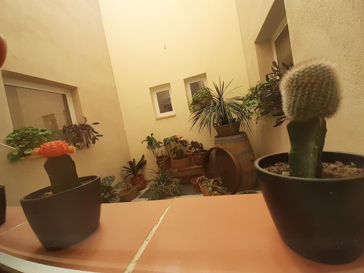 לינה וארוחת בוקר Corbera Casa La Foradada מראה חיצוני תמונה